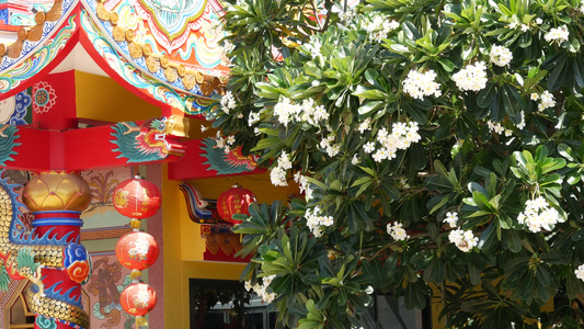 传统东方道教修道院寺庙屋顶细节节日龙装饰阳光明媚视频