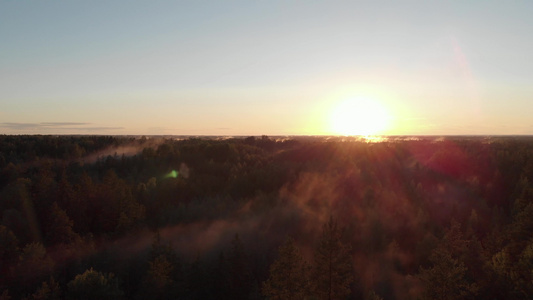 在金色日出上方静态的空中飞行云雾飘浮在树顶背光下视频