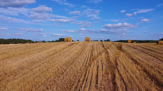 用收集的干草包飞越收获的田野收获后有干草捆的景观场视频