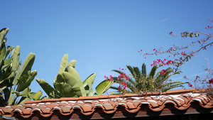 墨西哥殖民风格郊区西班牙裔房屋外观绿色郁郁葱葱的花园11秒视频