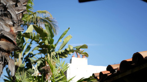 墨西哥殖民风格郊区西班牙裔房屋外观绿色郁郁葱葱的花园10秒视频