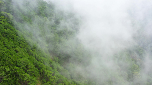 多雨的云层覆盖了绿色森林山的顶部热带气候下的雨云视频