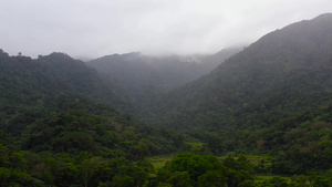热带的长青森林山地风景12秒视频