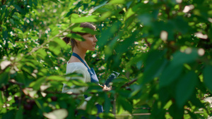 具有控制农场天然树木质量的设备的农业企业主19秒视频