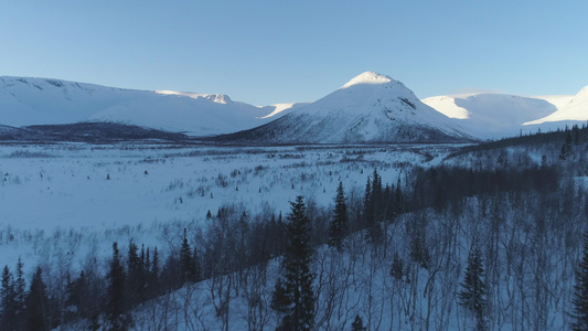 无人驾驶飞机正飞过雪山的树上空空中观察形成低角射线视频