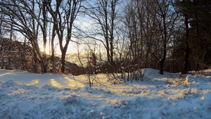 令人惊叹的野外冬季风景日落时有雪山林树木19秒视频
