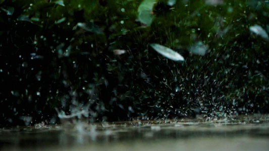 升格暴雨雨滴雨花雷阵雨视频