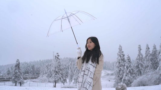 升格美女雪景里打伞视频