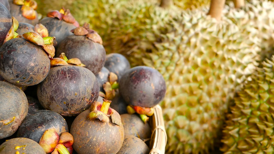 热带甜果和芒果当地泰兰市场大月露菜和芒果视频