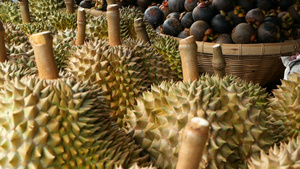 热带甜果和芒果当地泰兰市场大月露菜和芒果13秒视频