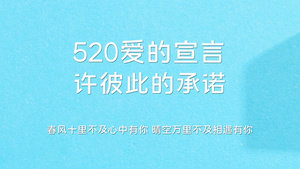 简洁时尚520快闪相册栏目展示30秒视频