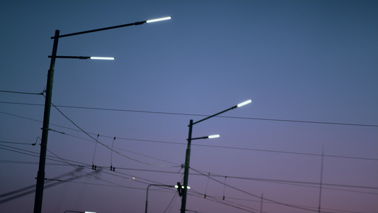 街道灯笼照亮城市道路紫色晚上时间视频