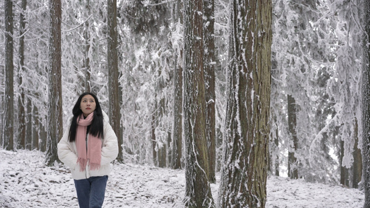 4K美女在雪地树林里行走视频