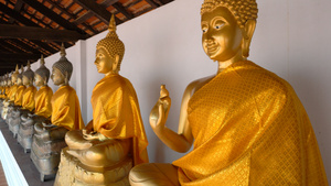 泰国寺庙佛像林立实拍4K57秒视频