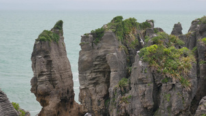 西海岸Punakaiki悬崖10秒视频