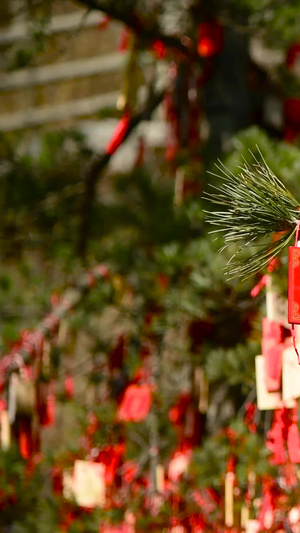 树枝上的祈愿牌许愿牌18秒视频