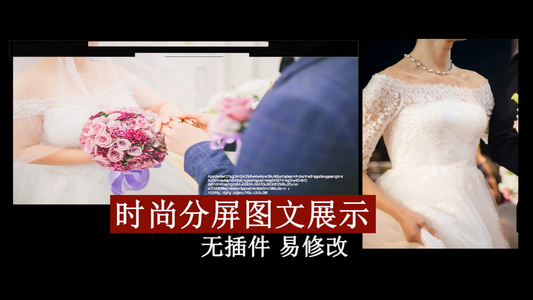 婚礼时尚相册展示会生会影X10视频模板视频