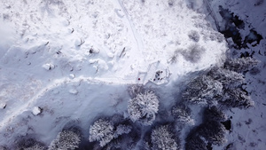 山上的雪山上有一个破碎的瞪羚13秒视频