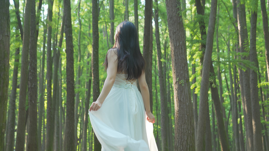 美女走在森林里感受自然视频