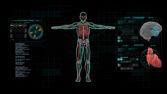 4K智慧医疗人体展示AE模板视频