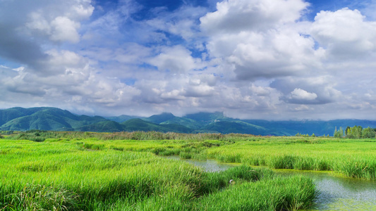 云南地区泸沽湖的草海自然风光视频
