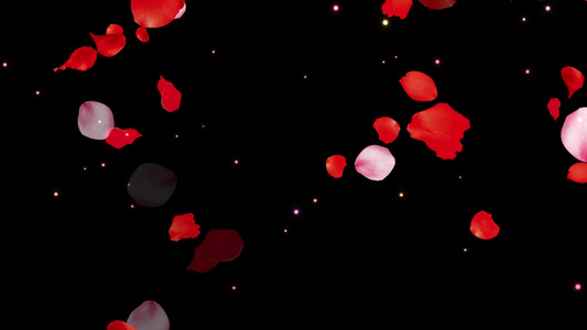 特效花瓣闪耀粒子洒落透明通道背景视频视频