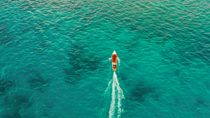 海景珊瑚礁和蓝海装有机动艇巴拉巴克古拉旺菲利平鱼12秒视频