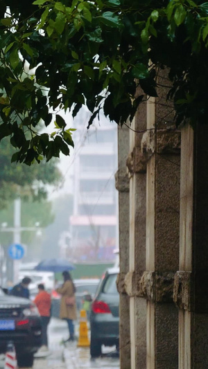 雨中行人撑伞雨中情侣背影行人背影16秒视频