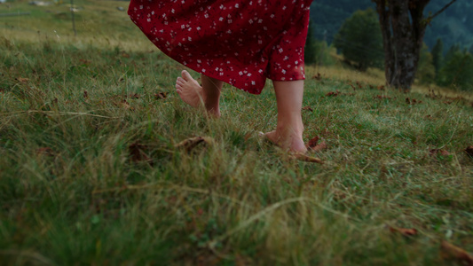 赤裸的女人脚走在绿草上视频