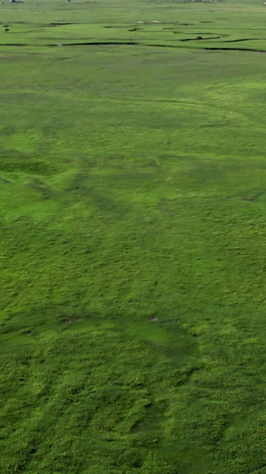  5k航拍美丽的草原及草原上蜿蜒的河流九曲湾超高清25秒视频