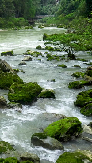 山间石澜流水河流高山流水25秒视频