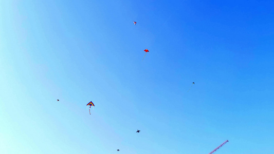 蓝天下飞翔的风筝4K视频