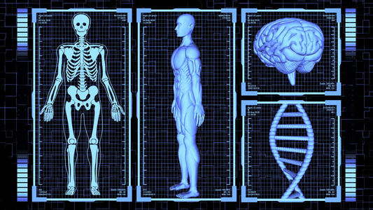 3D使肌肉肌肉解剖师的身体大脑和DNA旋转包括人体视频