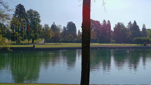 和平的清晨瑞士的公园和湖泊15秒视频