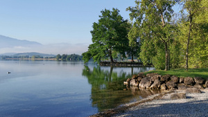 和平的清晨录像在瑞士的一个公园和湖泊14秒视频