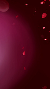 520红心玫瑰花瓣爱情表白背景玫瑰爱情表白背景视频