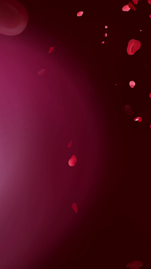 520红心玫瑰花瓣爱情表白背景玫瑰爱情表白背景15秒视频