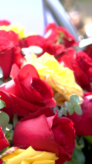实拍婚礼婚车上鲜艳的玫瑰花花簇情人节18秒视频