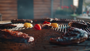旋转烤架上烤肉和蔬菜的特写镜头11秒视频