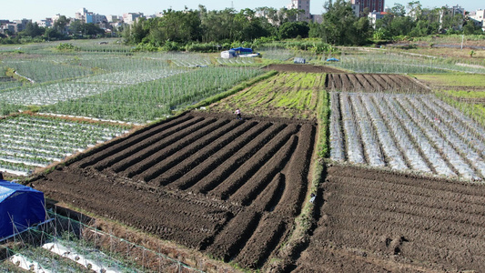 航拍农田里锄地的农民视频