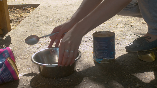 女人手把狗的食物放进碗里视频