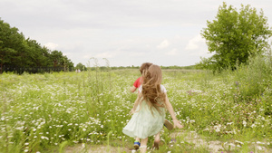 男孩和女孩在夏村的绿色田野上奔跑小弟弟和妹妹在开花22秒视频