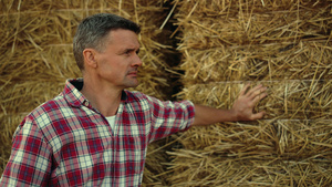 在农田特写镜头的农夫瘦干草堆10秒视频
