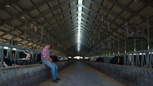 农场工人在牛棚上辛勤工作一天后休息谷仓视频