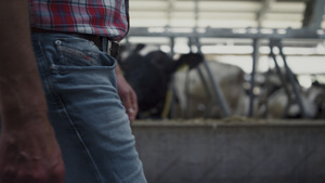 牛棚工人在农村农场特写镜头中行走谷仓检查牲畜健康状况11秒视频