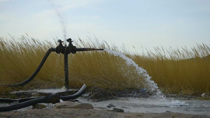 新疆水资源戈壁湿地植被芦苇日落60帧率实拍26秒视频