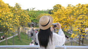 4K银鳞风铃木与少女11秒视频