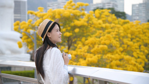 4K银鳞风铃木与少女15秒视频