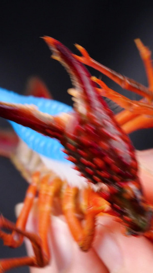 清洗小龙虾刷小龙虾活虾生鲜食材20秒视频