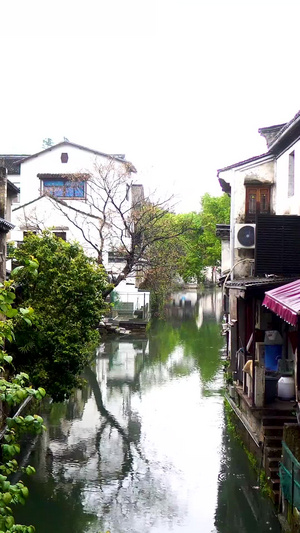 下雨天的绍兴仓桥直街合集53秒视频